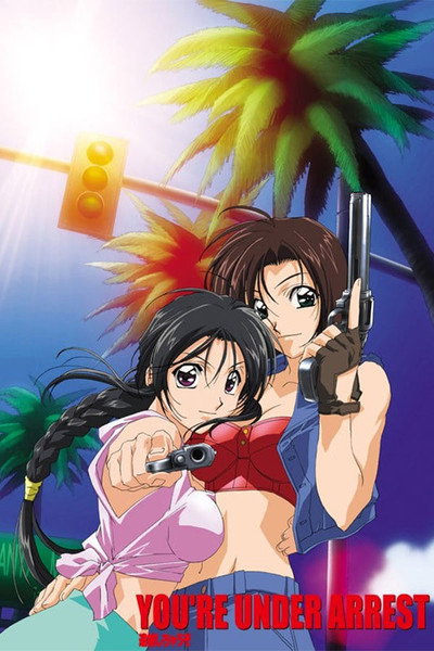 Póster de You're Under Arrest: No Mercy!