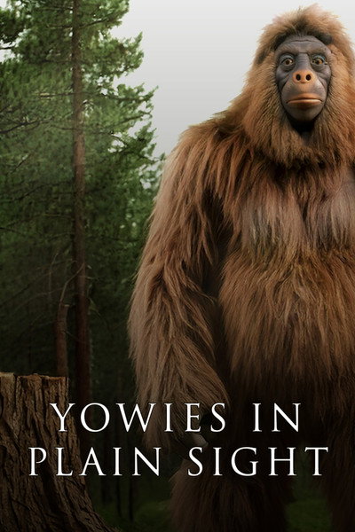 Póster de Yowies in Plain Sight