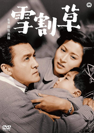 Póster de Yukiwarisô