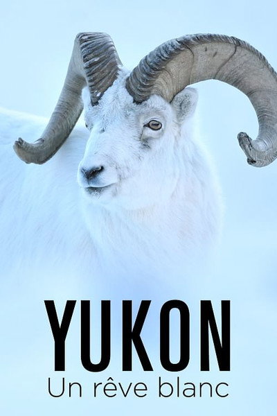 Póster de Yukon - Un rêve blanc