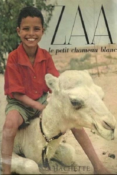 Póster de Zaa, petit chameau blanc