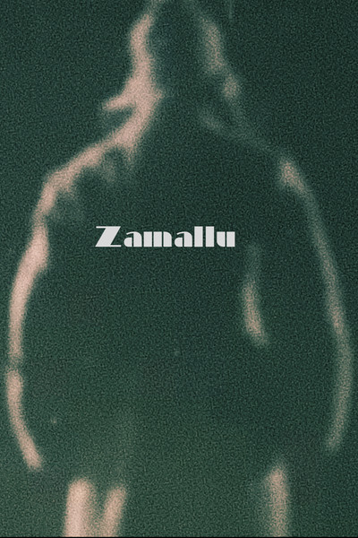 Póster de Zamallu