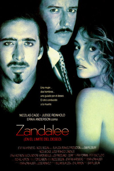 Póster de Zandalee (En el límite del deseo)
