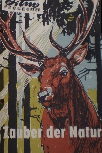 Póster de Zauber der Natur