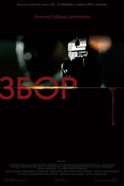 Póster de Zbor