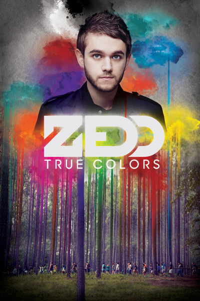 Póster de Zedd: True Colors