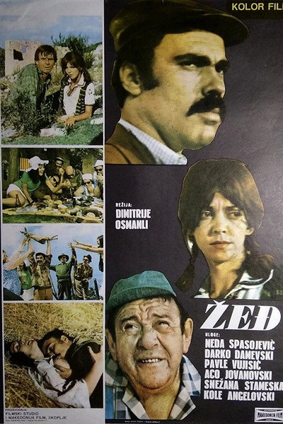 Póster de Zedj