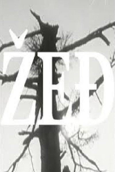 Póster de Zedj