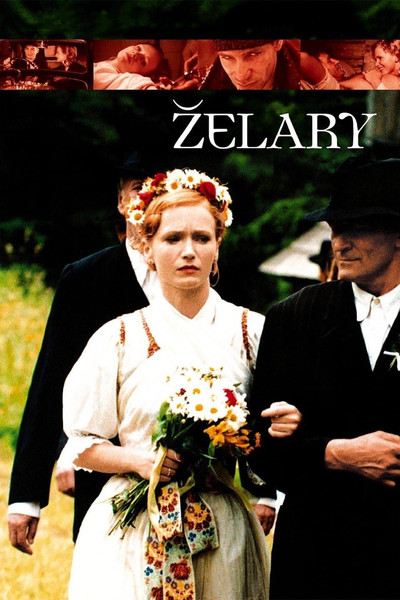 Póster de Zelary