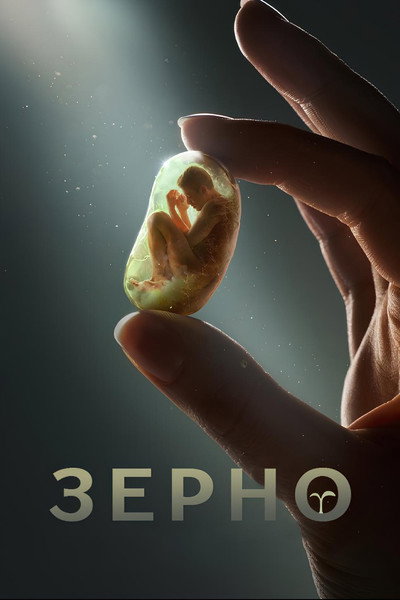 Póster de Zerno