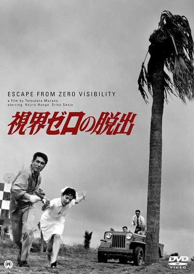 Póster de Zero Escape Visibility