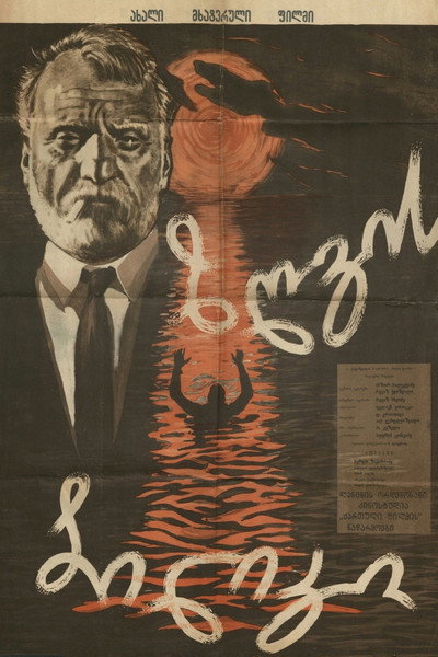 Póster de Zgvis biliki