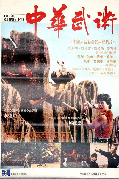 Póster de Zhong hua wu shu