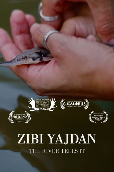 Póster de Zibi Yajdan