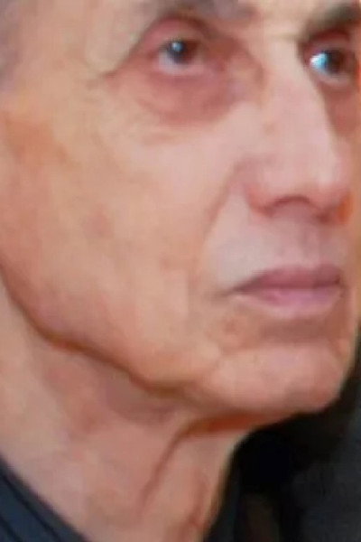 Póster de Zid
