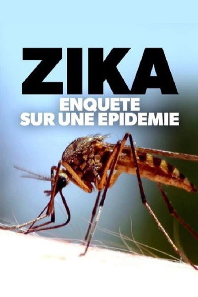 Póster de Zika, enquête sur une épidémie