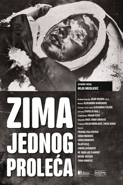 Póster de Zima jednog proleca