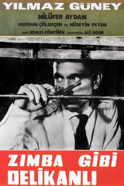 Póster de Zimba gibi delikanli