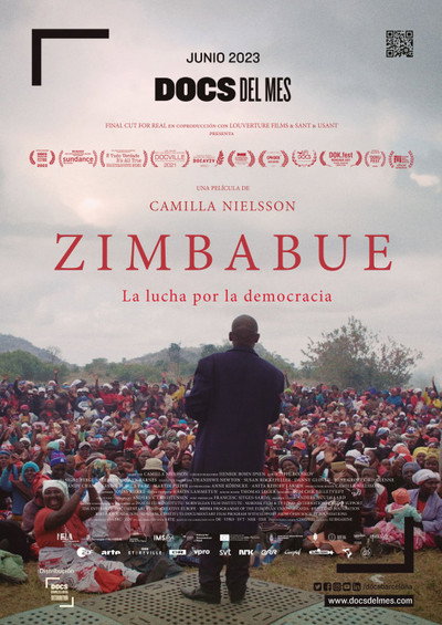 Póster de Zimbàbue: La lluita per la democràcia