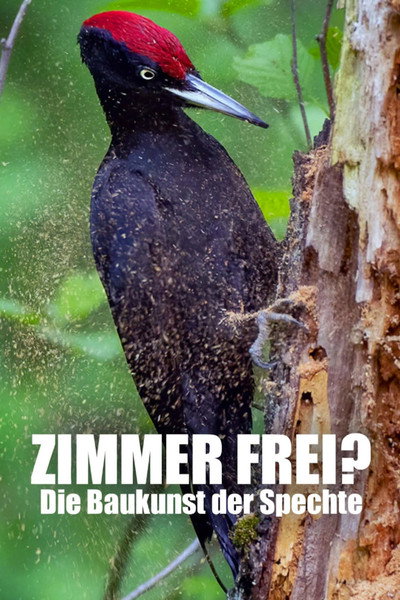 Póster de Zimmer frei? Die Baukunst der Spechte