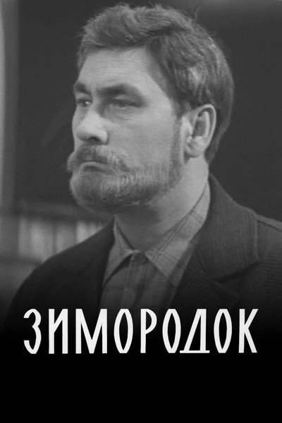 Póster de Zimorodok