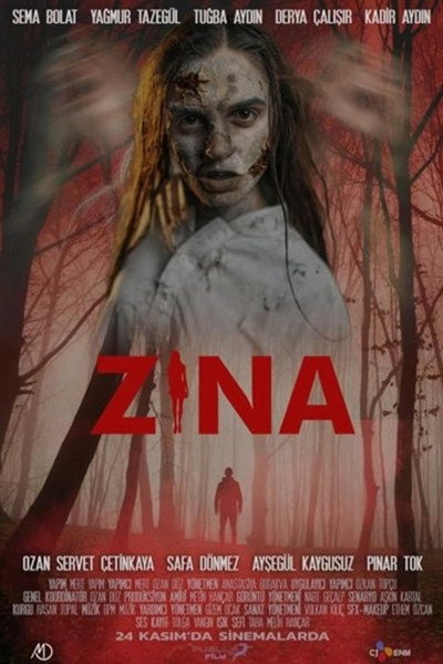 Póster de Zina