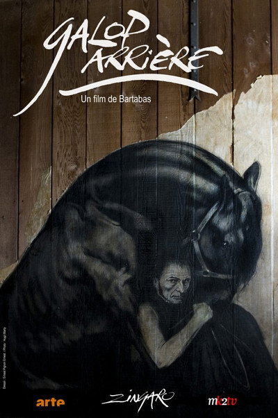 Póster de Zingaro Revisited