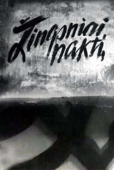 Póster de Zingsniai nakti