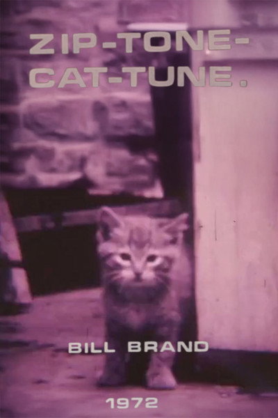 Póster de Zip Tone Cat Tune