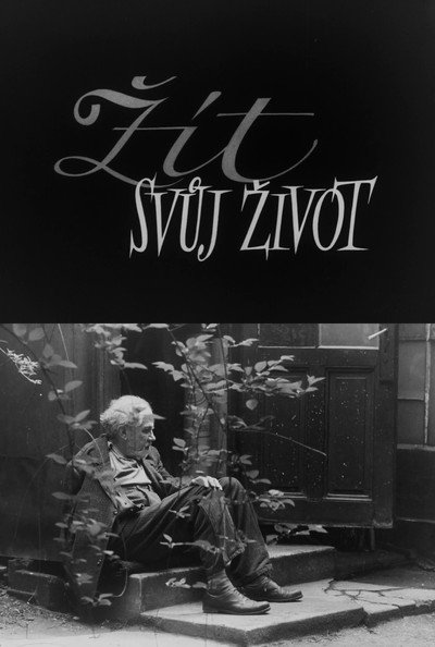 Póster de Zít svuj zivot