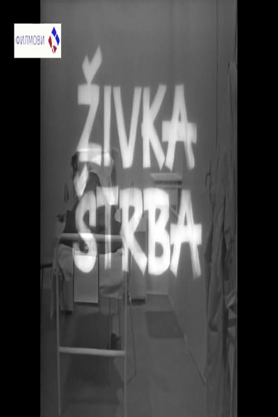 Póster de Zivka Strba