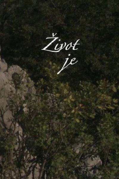 Póster de Zivot je