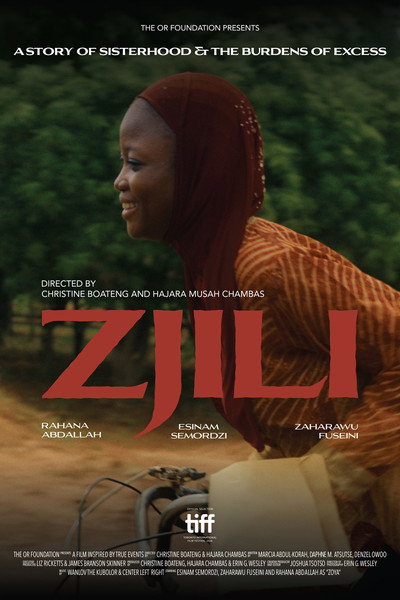 Póster de Zjili: A Story of Sisterhood and the Burdens of Excess