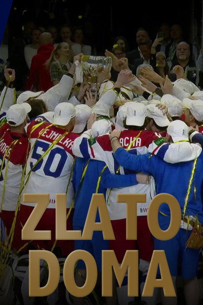 Póster de Zlato doma