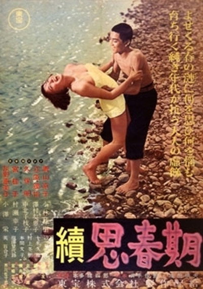 Póster de Zoku shishunki