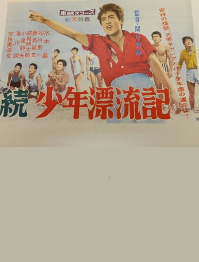 Póster de Zoku Shonen hyôryûki
