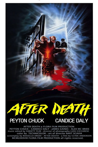 Póster de Zombie 4. After death