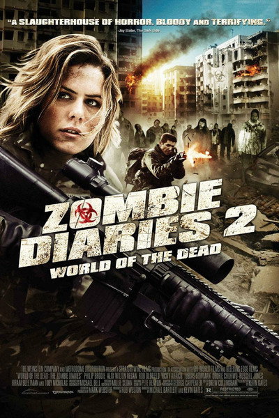 Póster de Zombie Diaries 2