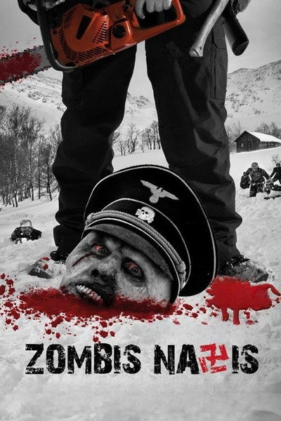 Póster de Zombis nazis