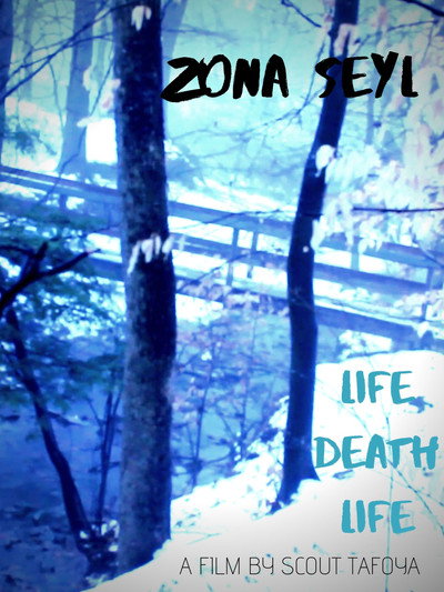 Póster de Zona Seyl