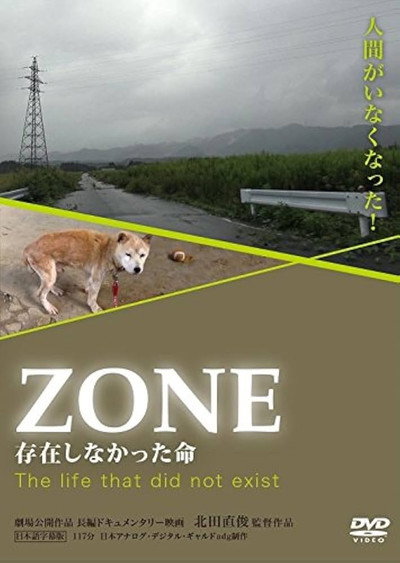 Póster de Zone