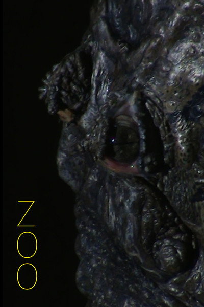 Póster de Zoo