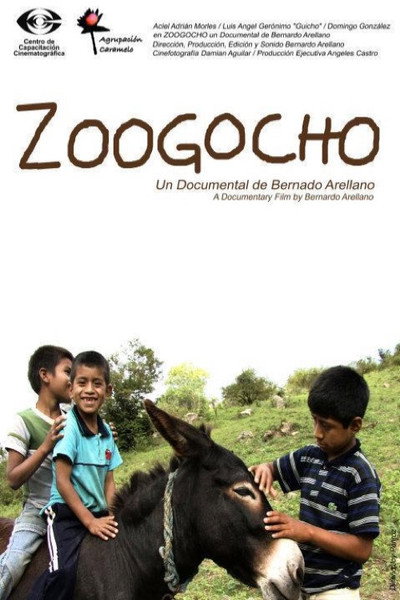 Póster de Zoogocho