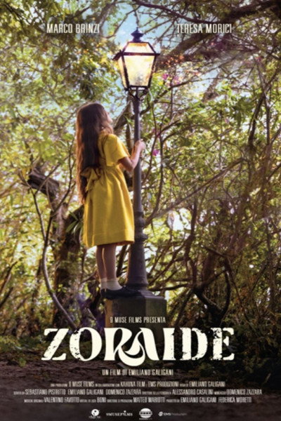 Póster de Zoraide