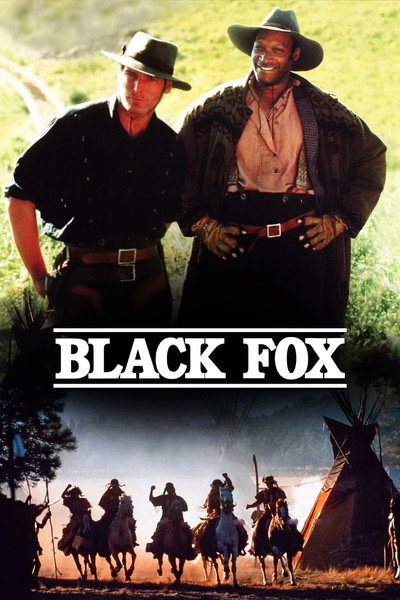 Póster de Zorro negro