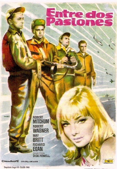 Póster de Zorros del espacio