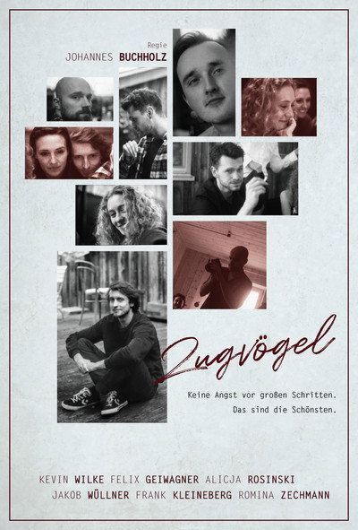 Póster de Zugvögel