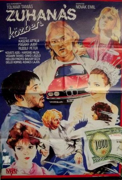 Póster de Zuhanás közben