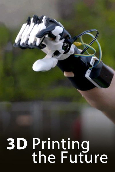 Póster de Zukunft aus dem Drucker: Wie 3D-Druck unsere Welt verändert