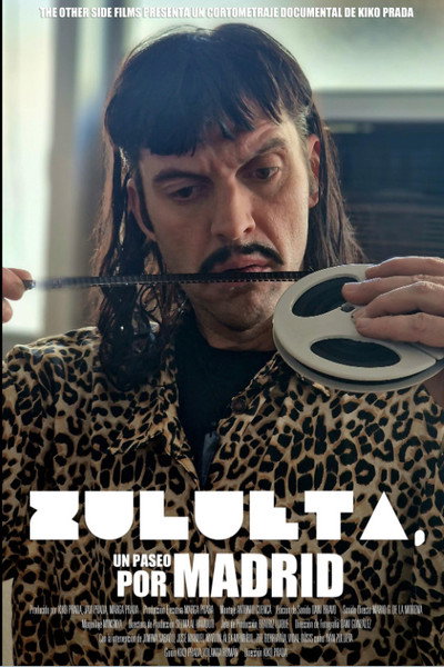 Póster de Zulueta, un paseo por Madrid